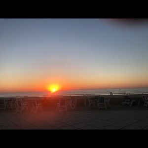 Meet your Posher, Carol